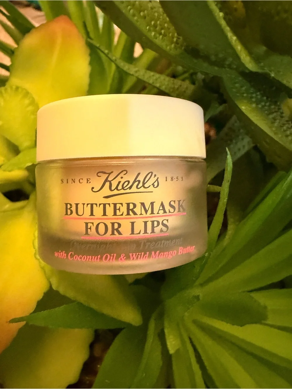 Kiehl's Buttermask-overnight lips treatment-with Coconut Oil & Wild Mango Butter